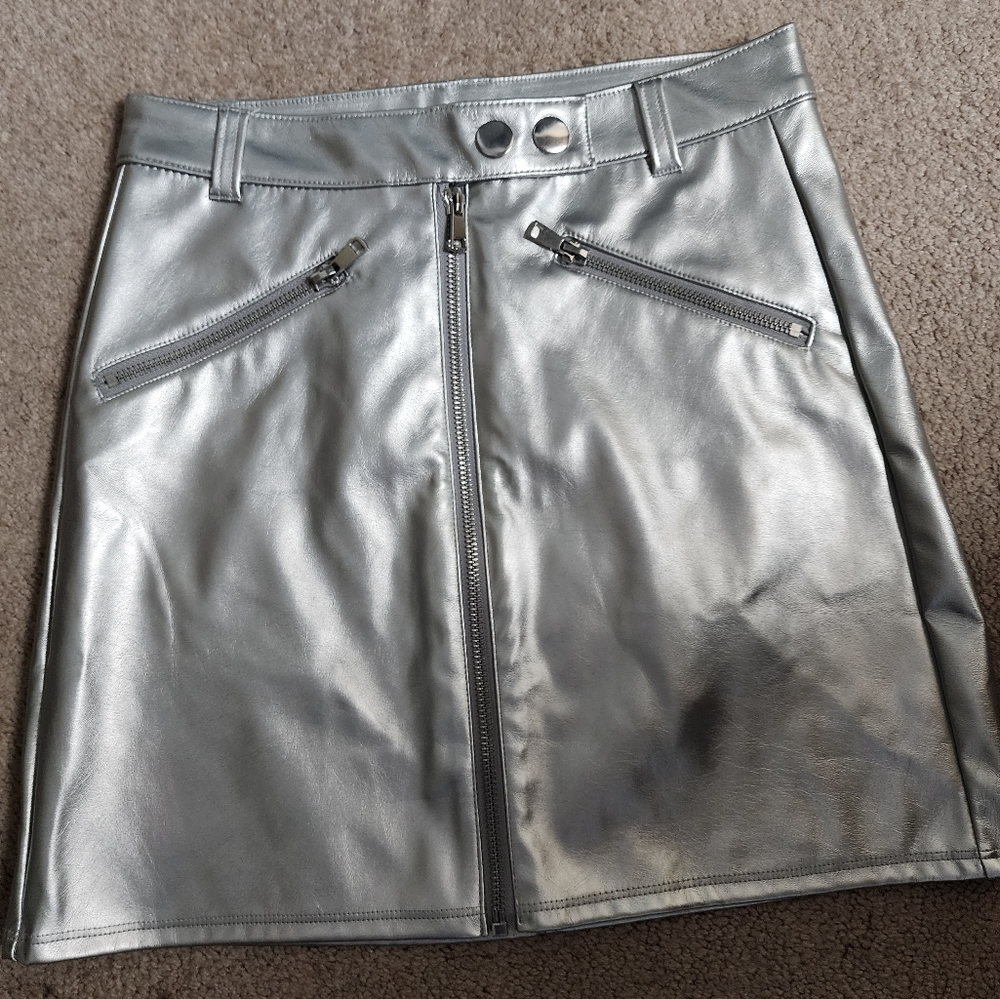 Silver Skirt